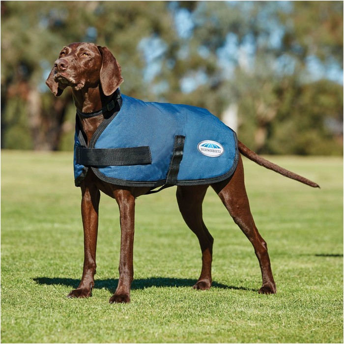 2022 Weatherbeeta Comfitec Classic Dog Coat 1001617 - Dark Blue